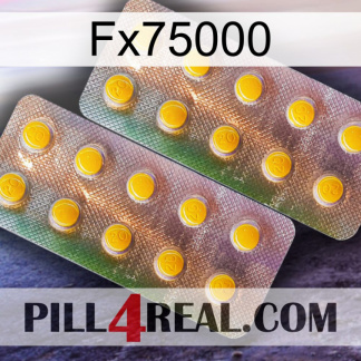 Fx75000 new10